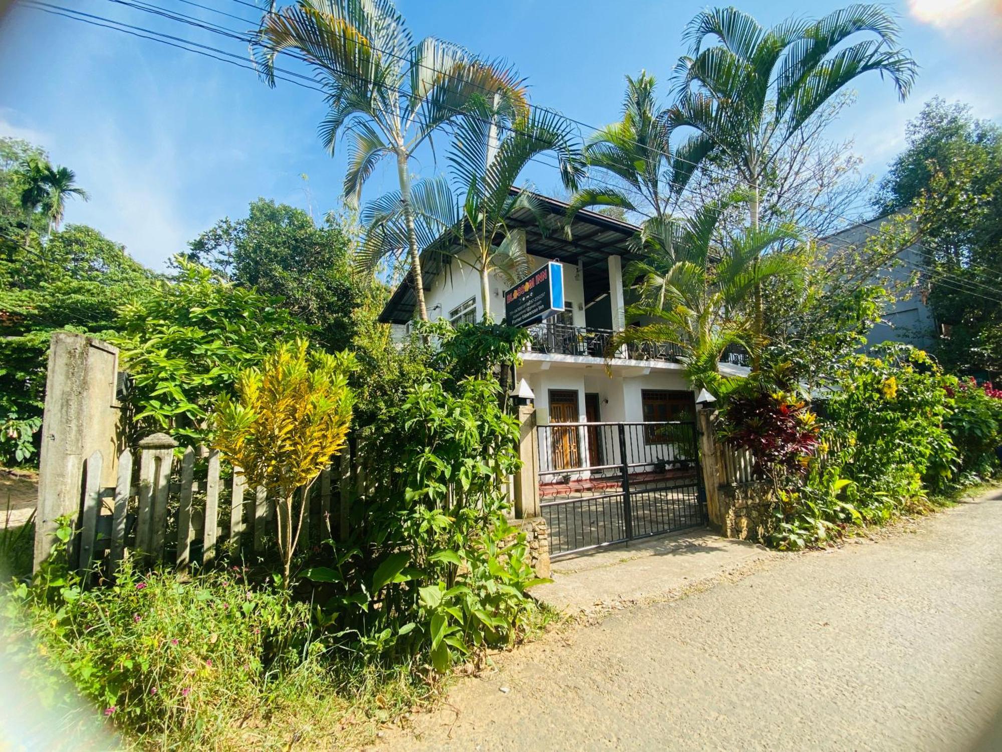 Blossom Inn Ella Exterior photo